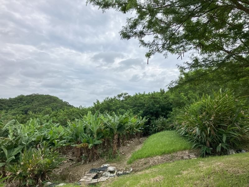 Large 2,693㎡ Farmland for Sale in Haebaru Town, Okinawa - Thumbnail 4