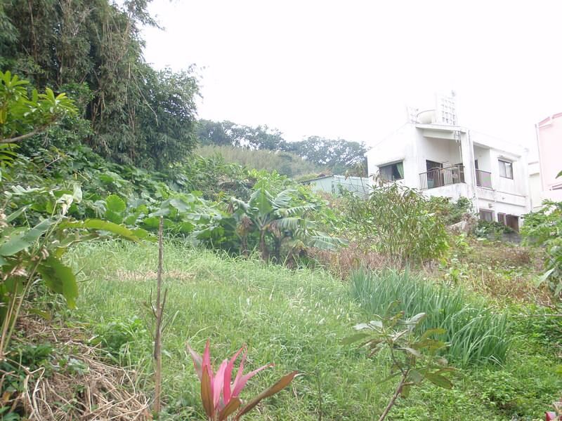 112 Tsubo Sloping Agricultural Land for Sale in Tomigusuku, Okinawa - Thumbnail 2