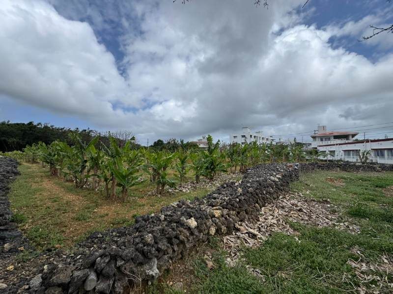 556.6 Tsubo Land for Sale in Yomitan Village, Okinawa - Thumbnail 3