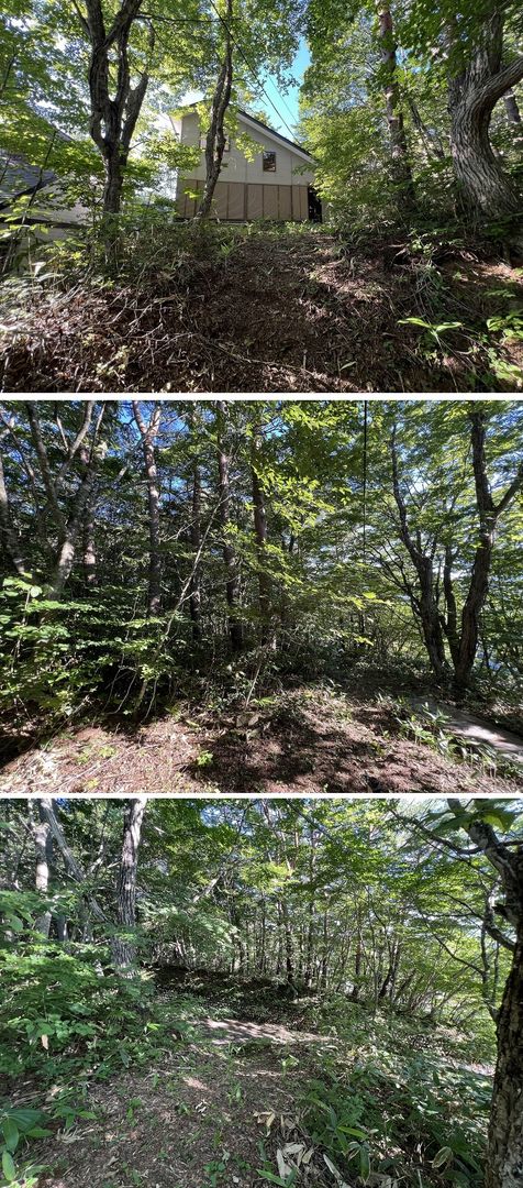 DIY Garden Vacation Home in Fukushima's Okawa Hatori Natural Park - Thumbnail 3