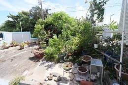 Tsuhaku Beach House in Nakagusuku Village - 3LDK Garden Home - Thumbnail 4