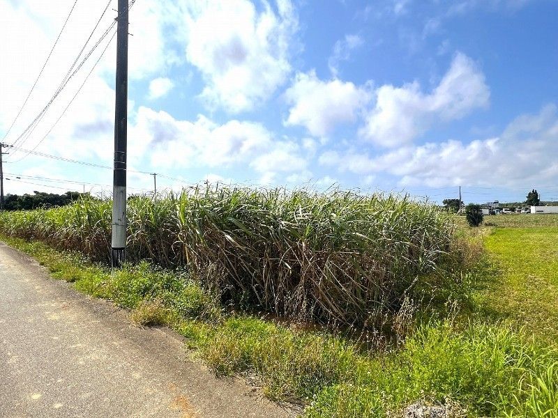 148.2 Tsubo Agricultural Land for Sale in Miyakojima's Hirara Nishizato - Thumbnail 4