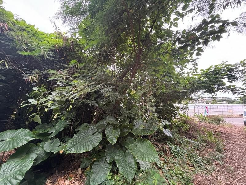 Vacant Land for Sale in Odo, Itoman City, Okinawa - Thumbnail 2