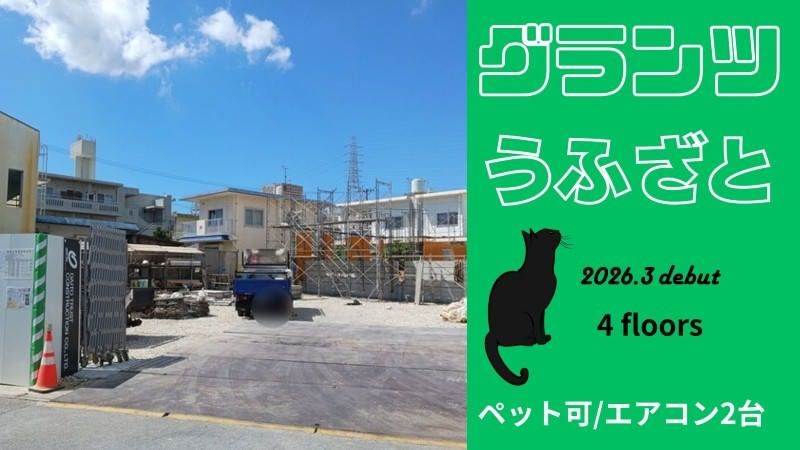 New 2026 2LDK Apartment for Rent in Okinawa City, Pet-Friendly - Thumbnail 2