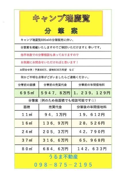 Subdivided Military Land for Sale in Kitachin Village, Okinawa - Thumbnail 4