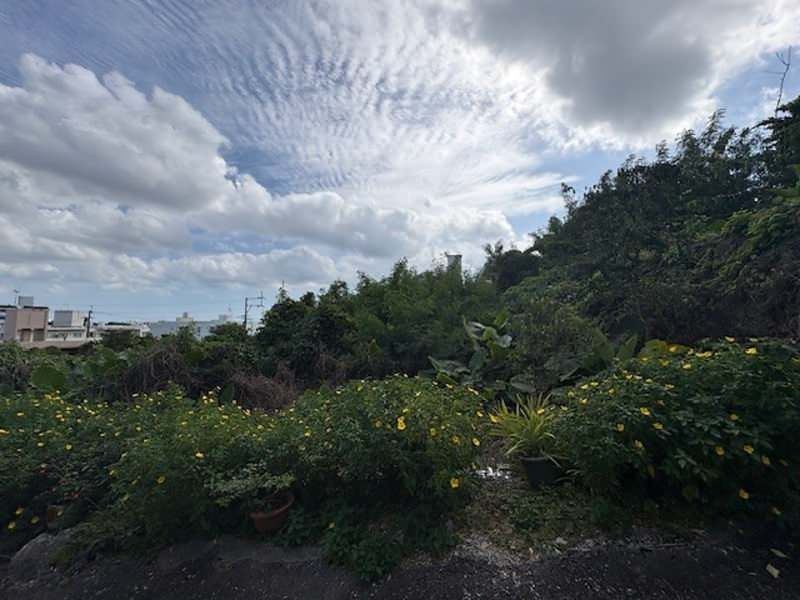 1,625 sqm Development Land for Sale in Tomigusuku, Okinawa - Thumbnail 3