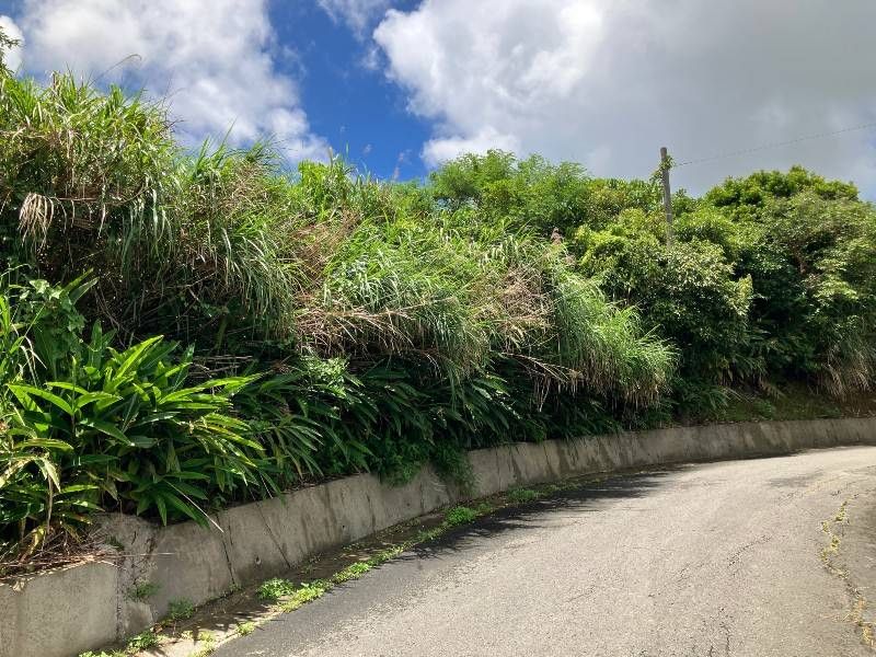 355 sqm Farmland for Sale in Yomitan, Okinawa - Development Opportunity - Thumbnail 3