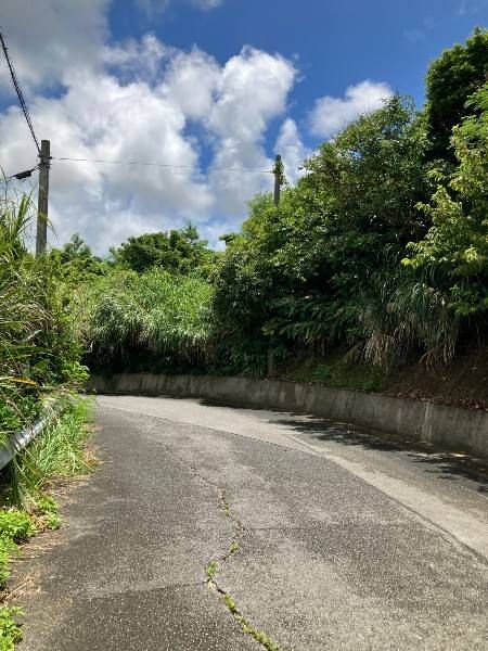 355 sqm Farmland for Sale in Yomitan, Okinawa - Development Opportunity - Thumbnail 4