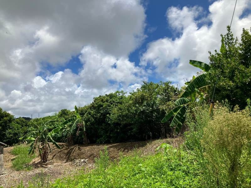 355 sqm Farmland for Sale in Yomitan, Okinawa - Development Opportunity - Thumbnail 2