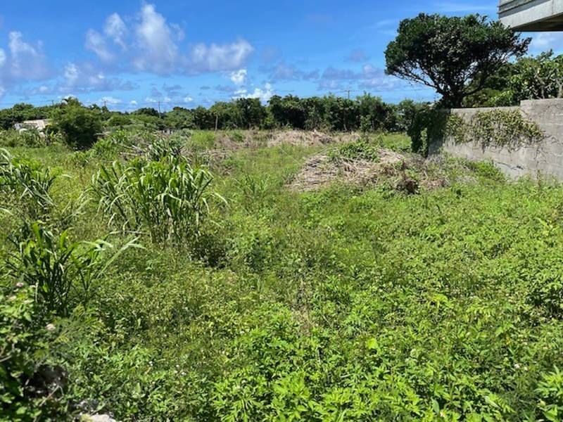 Land for Sale in Maehirara, Itoman City, Okinawa - 1951 sqm - Thumbnail 2