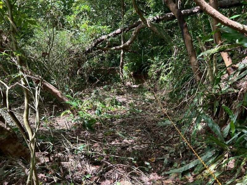 102 Tsubo Land Plot for Sale in Kin Town, Okinawa - Thumbnail 2