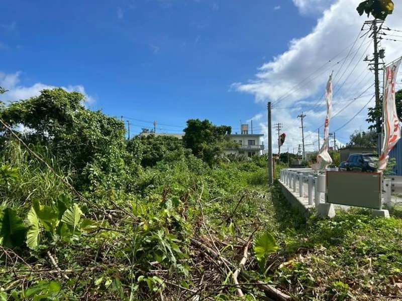 102 Tsubo Land Plot for Sale in Kin Town, Okinawa - Thumbnail 4