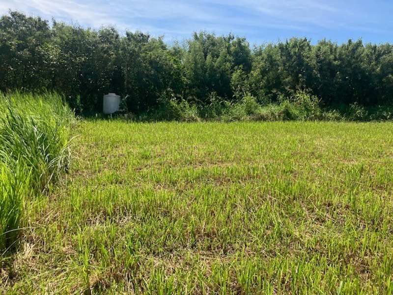 720.6 Tsubo Land for Sale in Yakena, Uruma City, Okinawa - Thumbnail 4