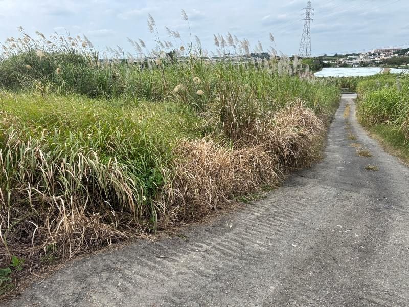 1,077.8 Tsubo Agricultural Land for Sale in Itoman, Okinawa - Thumbnail 2