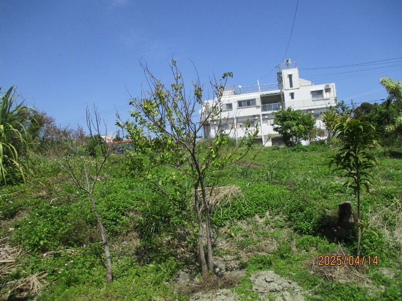 201 Tsubo Beachside Land for Sale in Itoman, Okinawa - Thumbnail 2