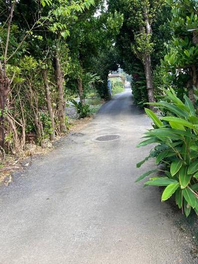 Traditional Home Near Churaumi Aquarium in Historic Bise, Motobu — Image 4, Motobu, Okinawa