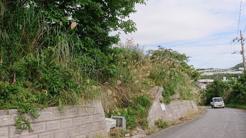 677.29 Tsubo Land for Sale in Tomigusuku, Okinawa - Thumbnail 4