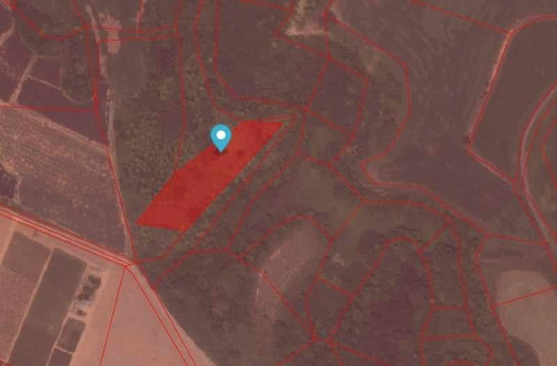 8,417 sqm Agricultural Land for Sale in Miyara, Ishigaki - Thumbnail 2