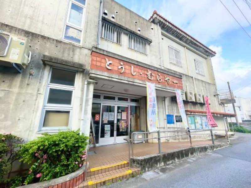 Land for Sale in Yonabaru, Okinawa - 964.25 sqm Plot - Thumbnail 2
