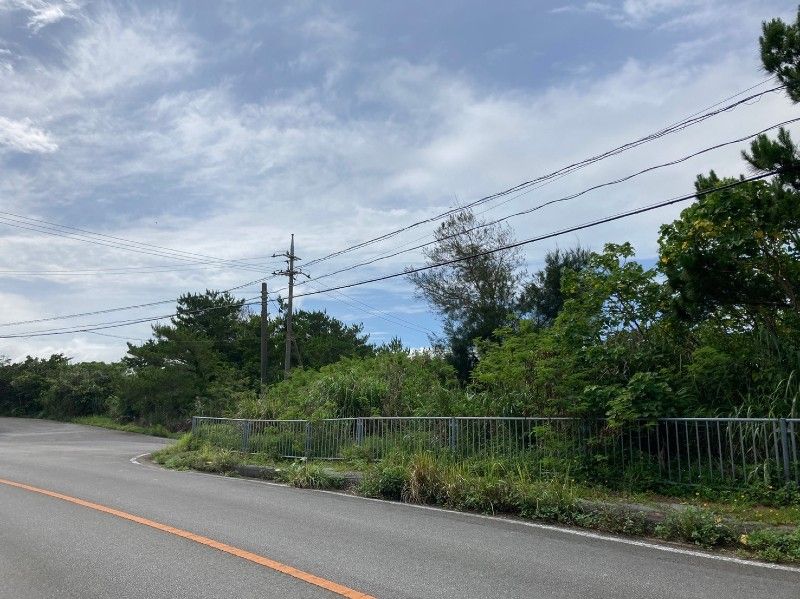 Land for Sale in Miyagi, Higashi Village, Okinawa - 561 sqm - Thumbnail 2