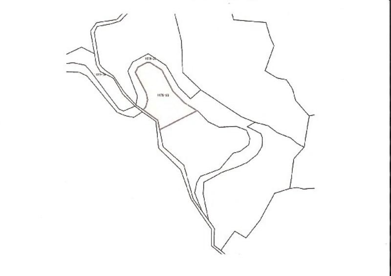 Buildable Forest Land for Sale in Ōgimi Village, Okinawa - Thumbnail 3