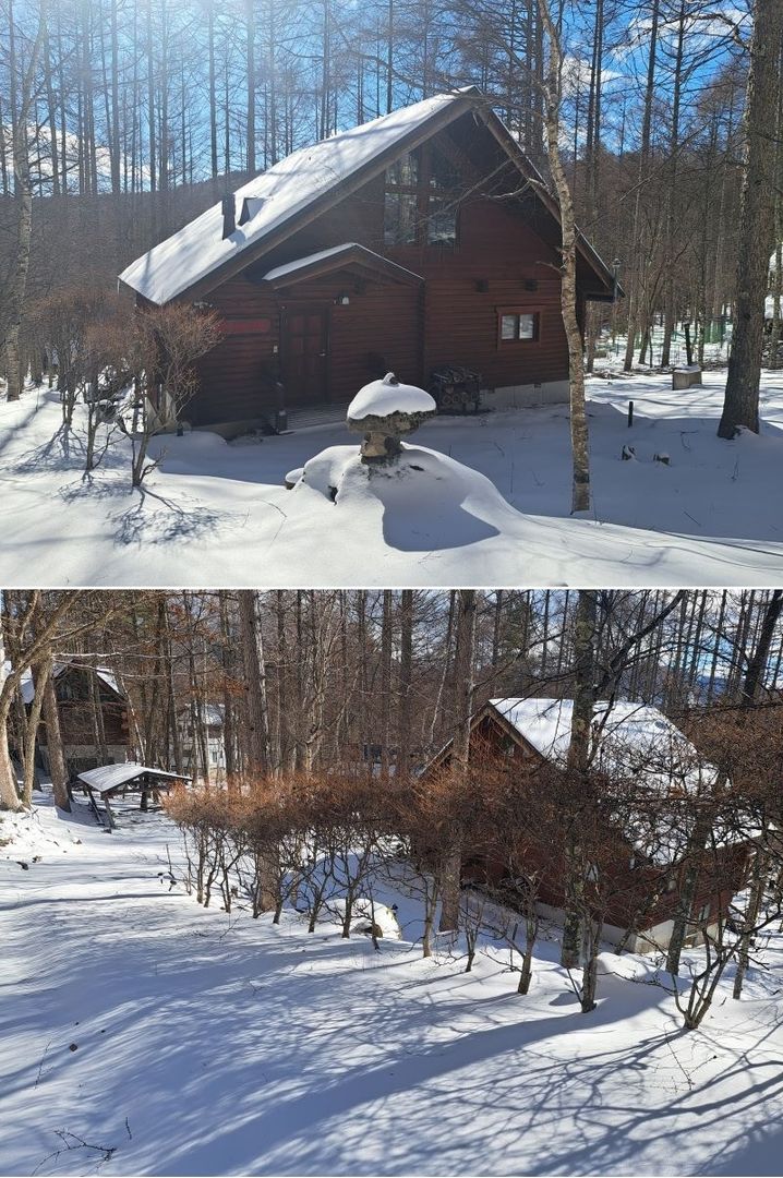 Brown Log House for Sale in Nagano's Kita-Shirakaba Highlands - Thumbnail 2