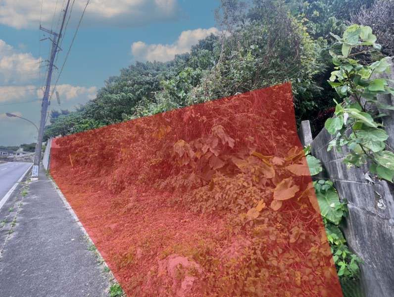 Land for Sale in Kaneshiro, Itoman City, Okinawa - 663 sqm - Thumbnail 2