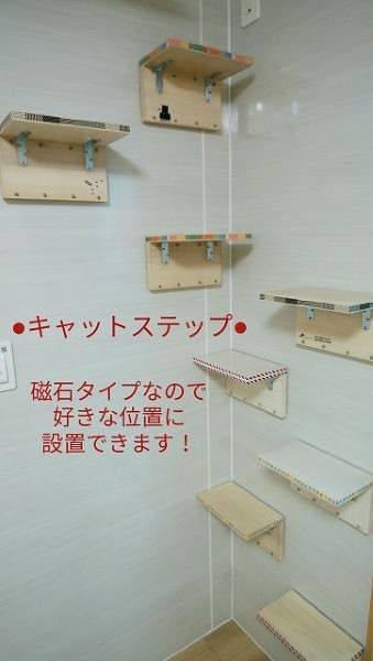 Cat-Friendly 1LDK Apartment for Rent in Nakagusuku Village, Okinawa - Thumbnail 2