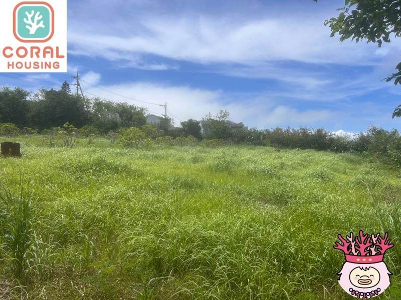 Farmland for Sale in Uruma, Okinawa - 1,381 sqm - Thumbnail 4