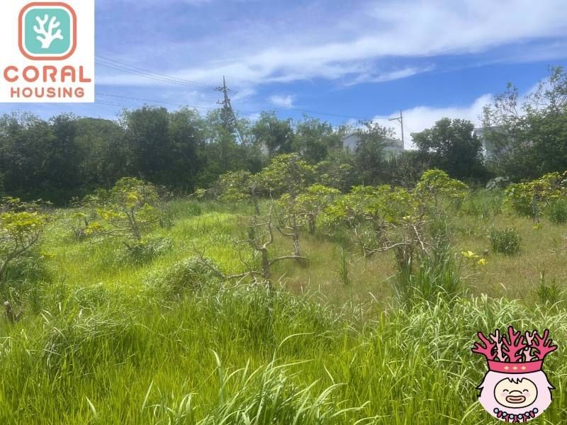 Farmland for Sale in Uruma, Okinawa - 1,381 sqm - Thumbnail 3