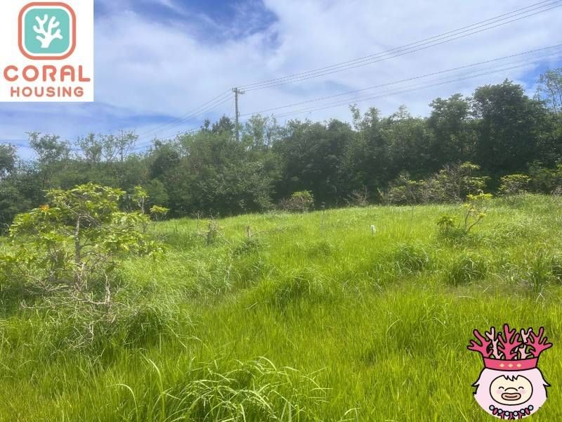 Farmland for Sale in Uruma, Okinawa - 1,381 sqm - Thumbnail 2