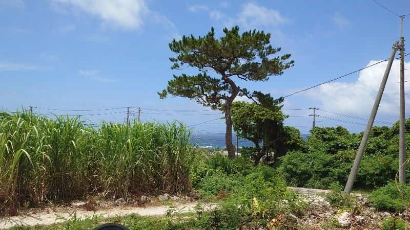 Land for Sale in Ōdo, Itoman City, Okinawa - 959 sqm - Thumbnail 4