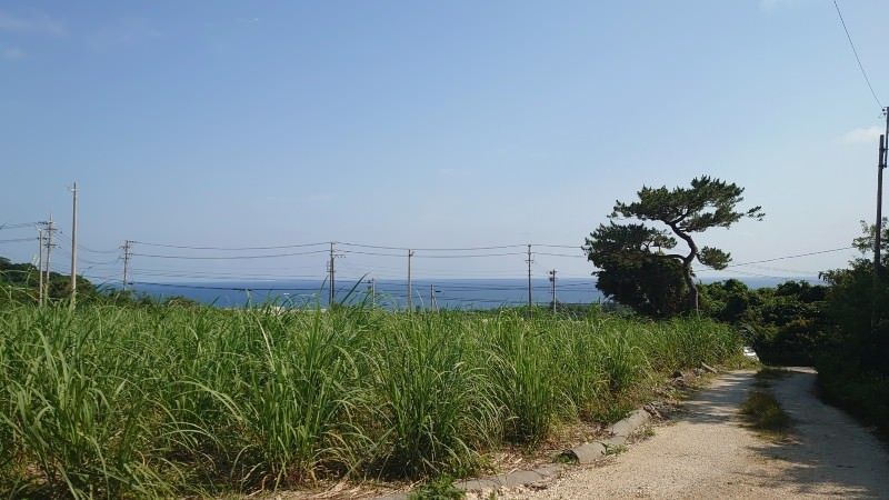 Land for Sale in Ōdo, Itoman City, Okinawa - 959 sqm - Thumbnail 3