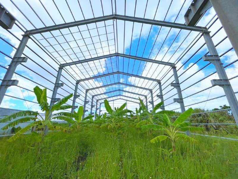 Agricultural Land for Sale in Funagoshi, Nanjo City, Okinawa - Thumbnail 2