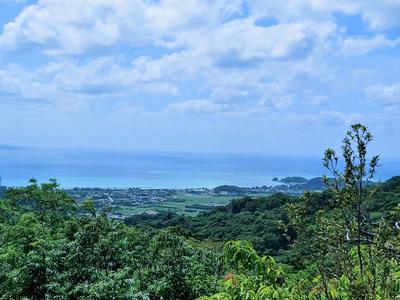 Detached house for sale in Okuma in Kunigami Village (Rebar (RC structure), ownership, 1R, 100 million yen)|Okinawa property information [Goo Home] No.205-1235 — Image 1, Kunigami, Okinawa