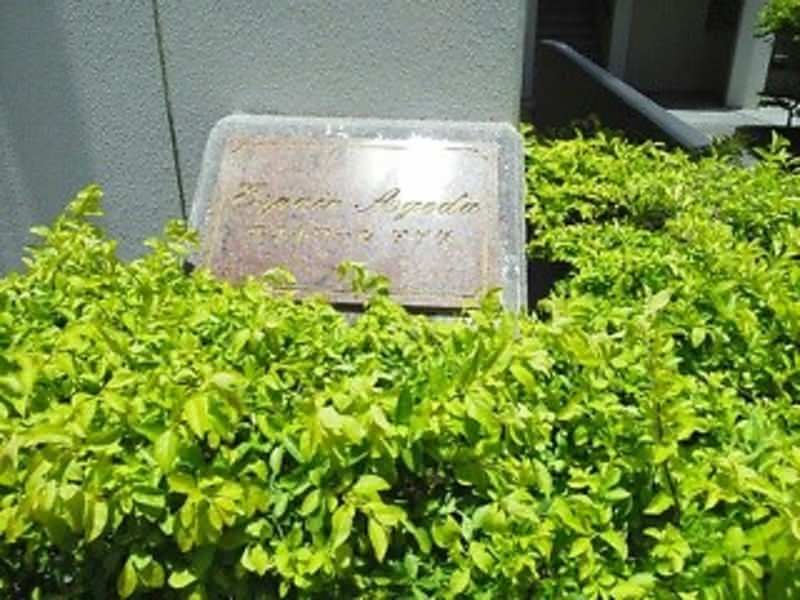 1R Apartment for Rent in Naha City Mihara, Okinawa - 53,000 JPY - Thumbnail 3