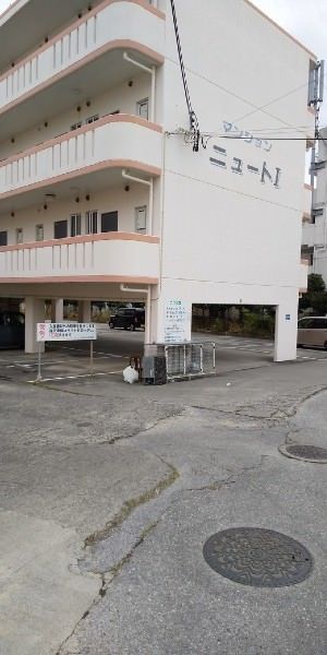1K Apartment for Rent in Ginowan, Okinawa - 30 sqm, Free Internet - Thumbnail 2