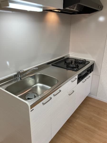 Modern 2DK Apartment for Rent in Motobu Town, Okinawa - Thumbnail 4