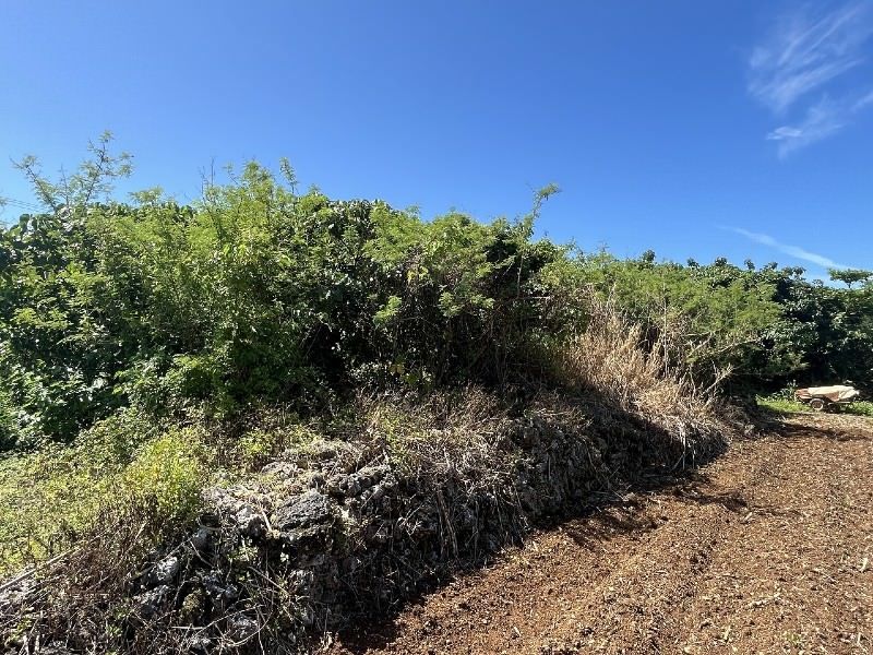 480 sqm Land for Sale in Irabu Nagahama, Miyakojima - Thumbnail 2
