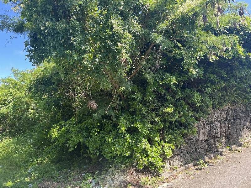 480 sqm Land for Sale in Irabu Nagahama, Miyakojima - Thumbnail 4