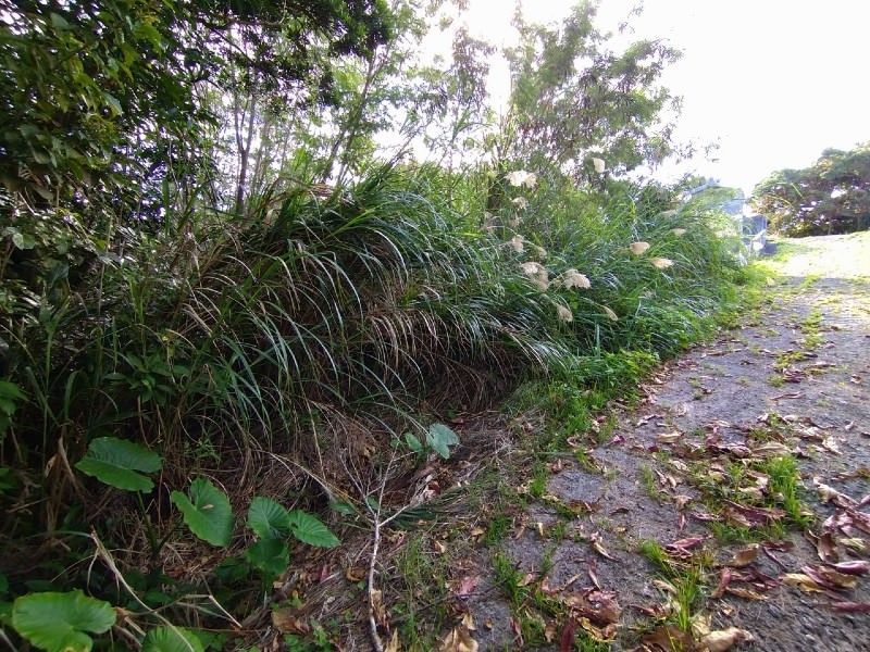Land for Sale in Nobe, Tomigusuku City, Okinawa - 515 sqm - Thumbnail 3