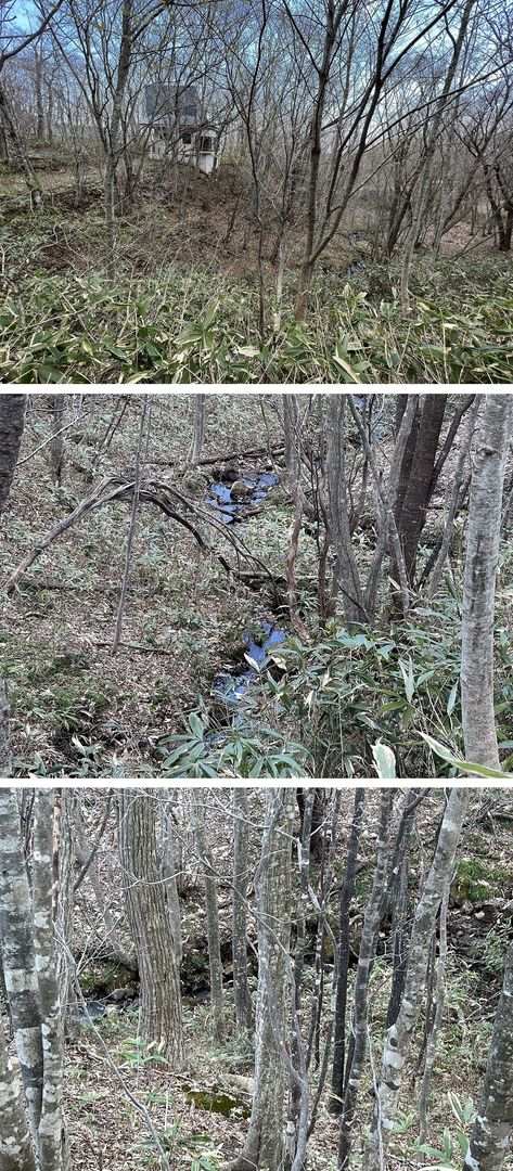 Secluded Forest Villa in Ten'ei Village, Fukushima - Thumbnail 4