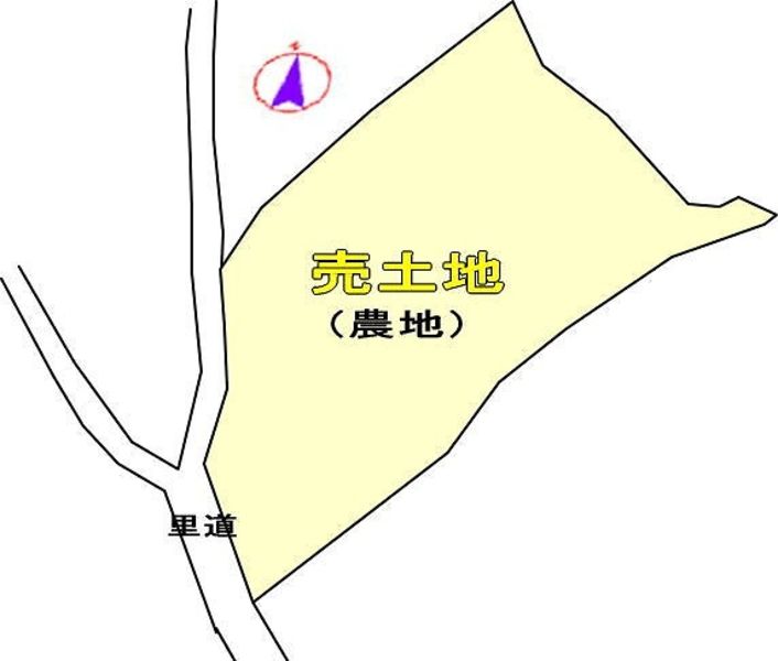 Agricultural Land for Sale in Chinen Kauno, Nanjo City, Okinawa - Thumbnail 4