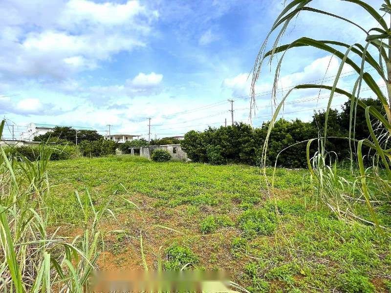954 Tsubo Farmland for Sale in Miyakojima City, Okinawa - Thumbnail 2