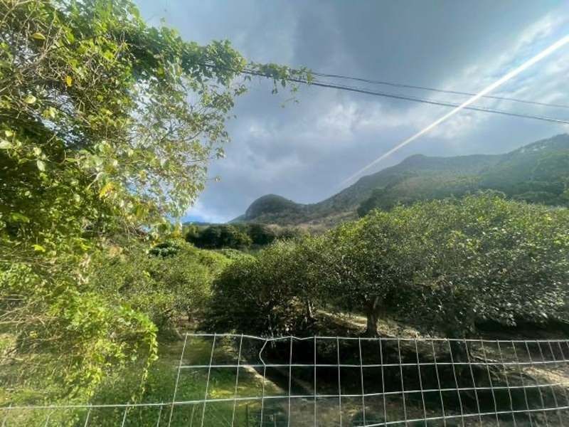 23,456 sqm Forest Land for Sale in Ogimi Village, Okinawa - Thumbnail 3