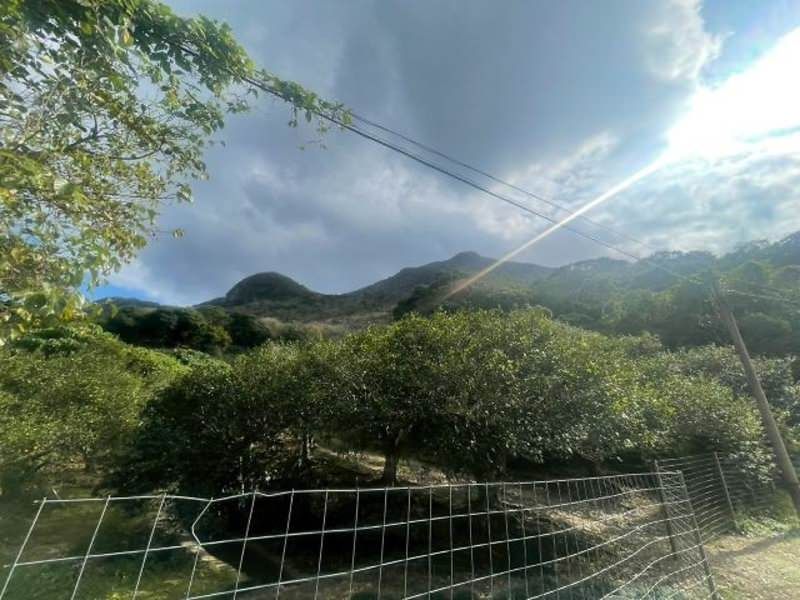 23,456 sqm Forest Land for Sale in Ogimi Village, Okinawa - Thumbnail 2