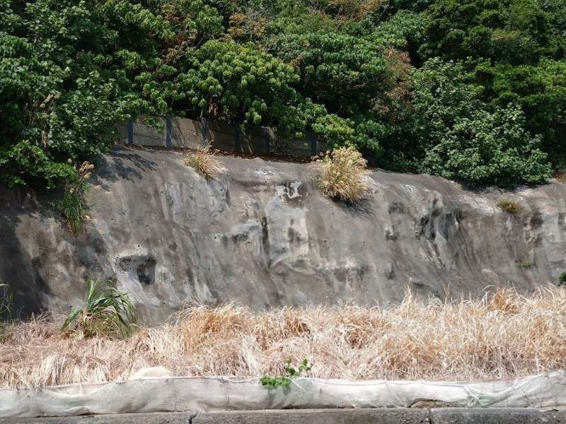 Land for Sale in Ganaha, Tomigusuku City, Okinawa - 527 sqm - Thumbnail 4