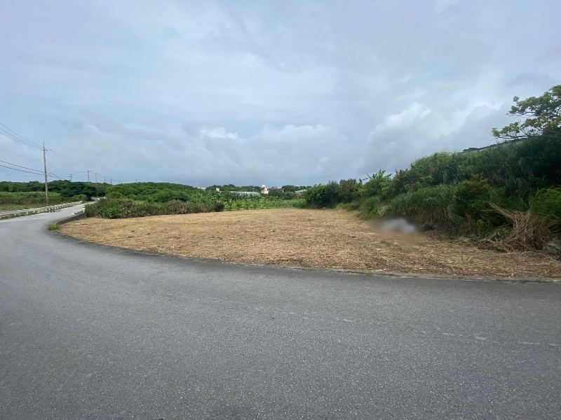 Large Agricultural Land Plot for Sale in Itoman City, Okinawa - Thumbnail 4
