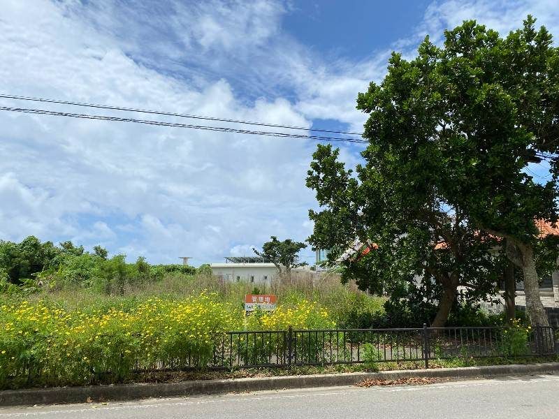 Land for Sale in Shiraho, Ishigaki - 345 sqm Vacant Plot - Thumbnail 2