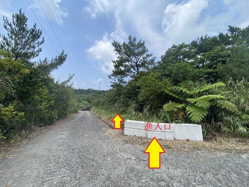 67,213 sqm Land for Sale in Ogimi Village, Okinawa - Thumbnail 2